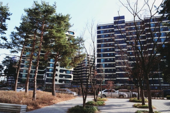 김가(家)네 이미지