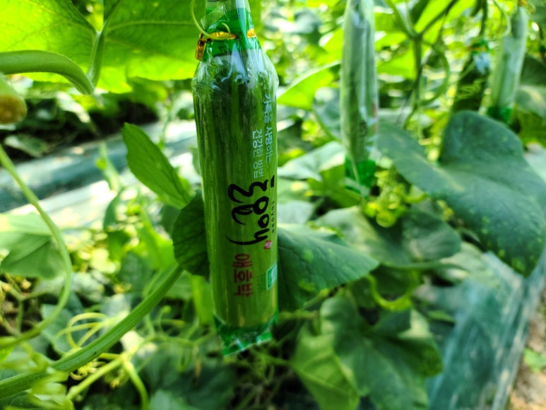 (주)아주농장 이미지
