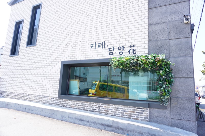 담양화 이미지
