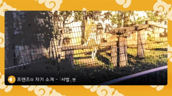 애니프렌즈 이미지