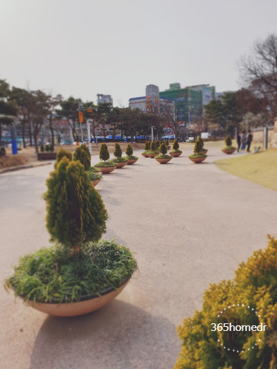 연세홈닥터의원 이미지