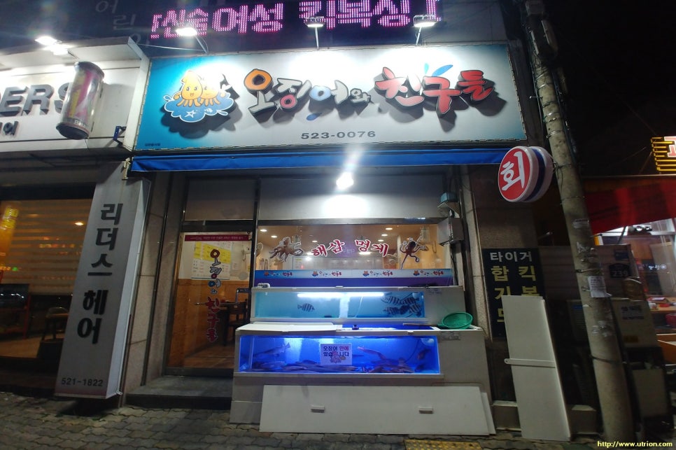 오징어 와 친구들 이미지