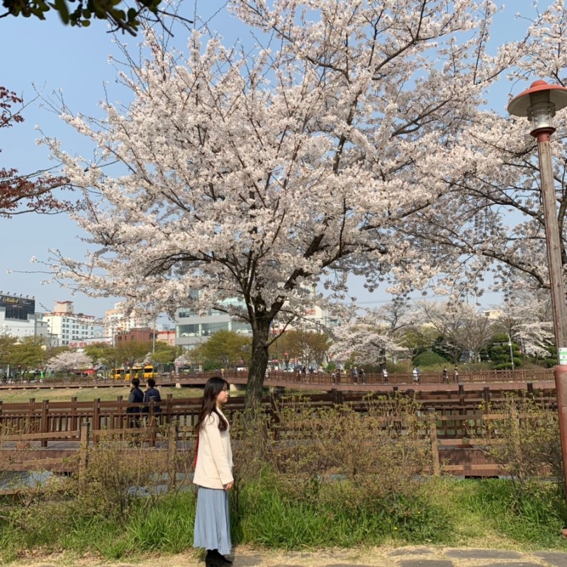 운천갤러리 이미지
