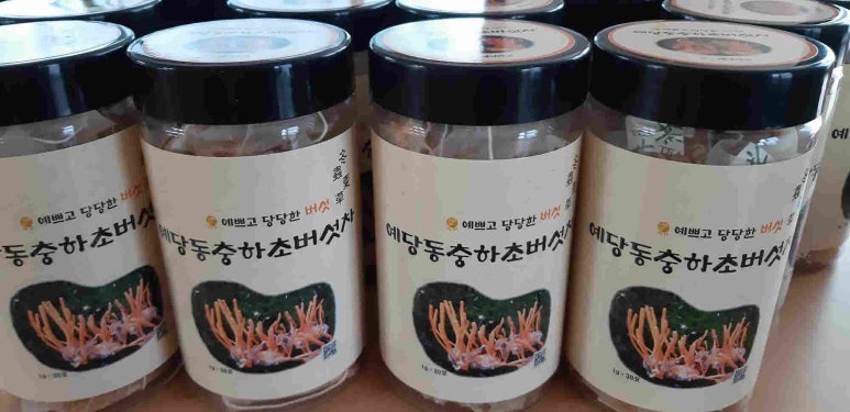 예당버섯 이미지