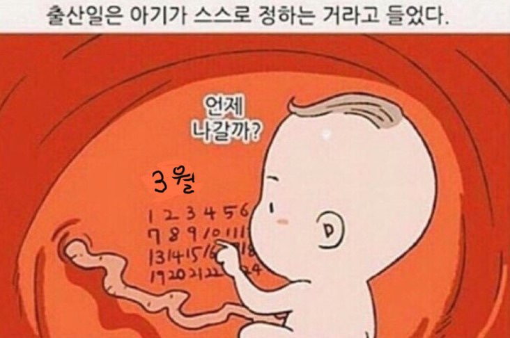 문스시 이미지