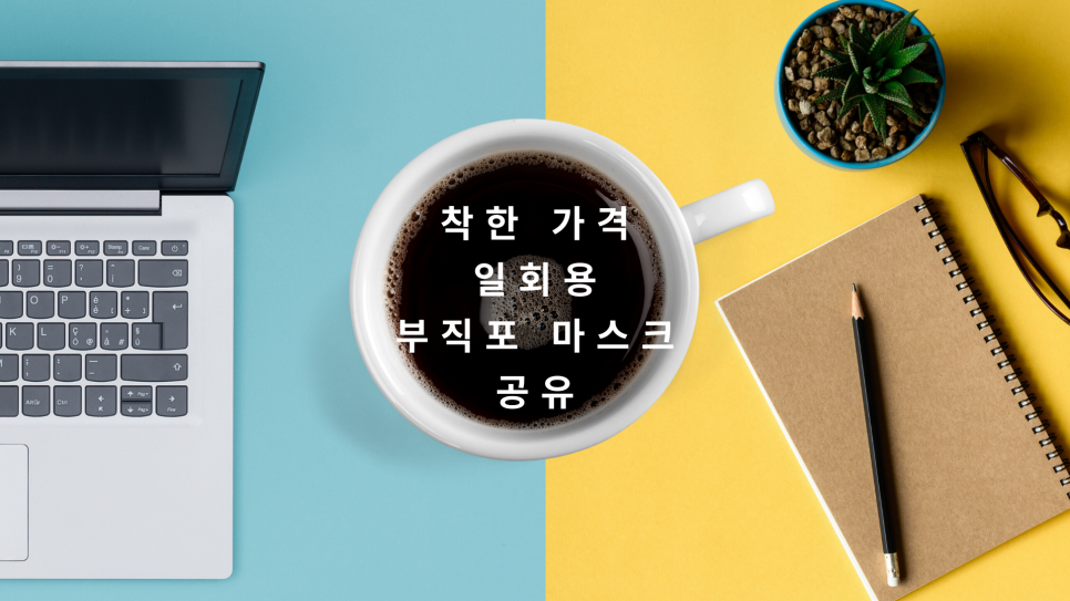 에코가드 이미지