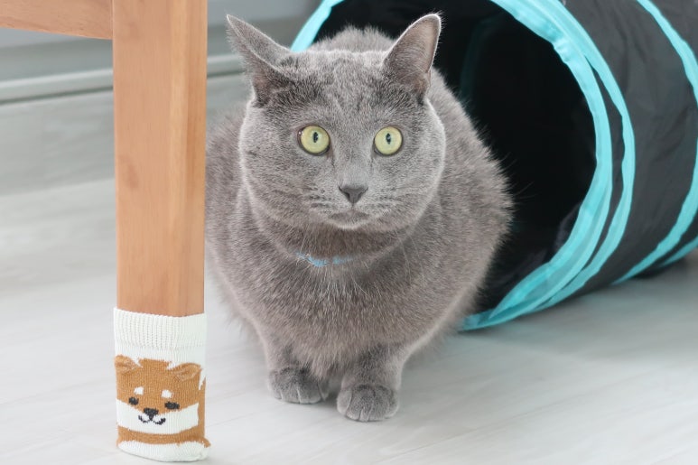 (주)캐리어에어 이미지