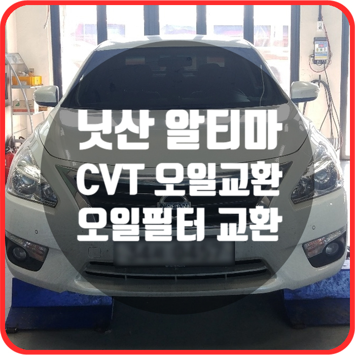 아우토부스 이미지