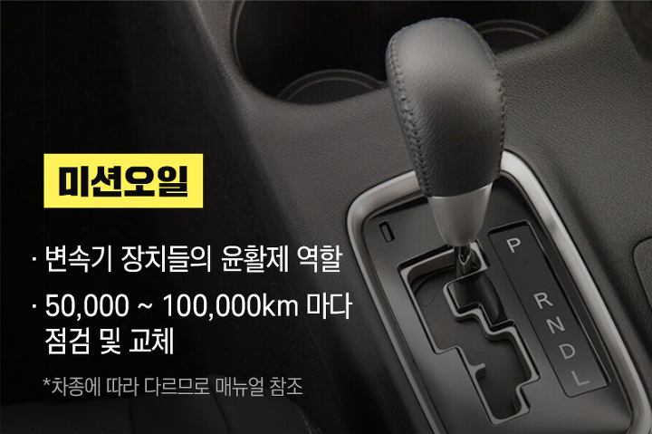 오일리브 이미지