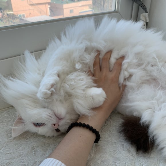 로나뷰티 이미지