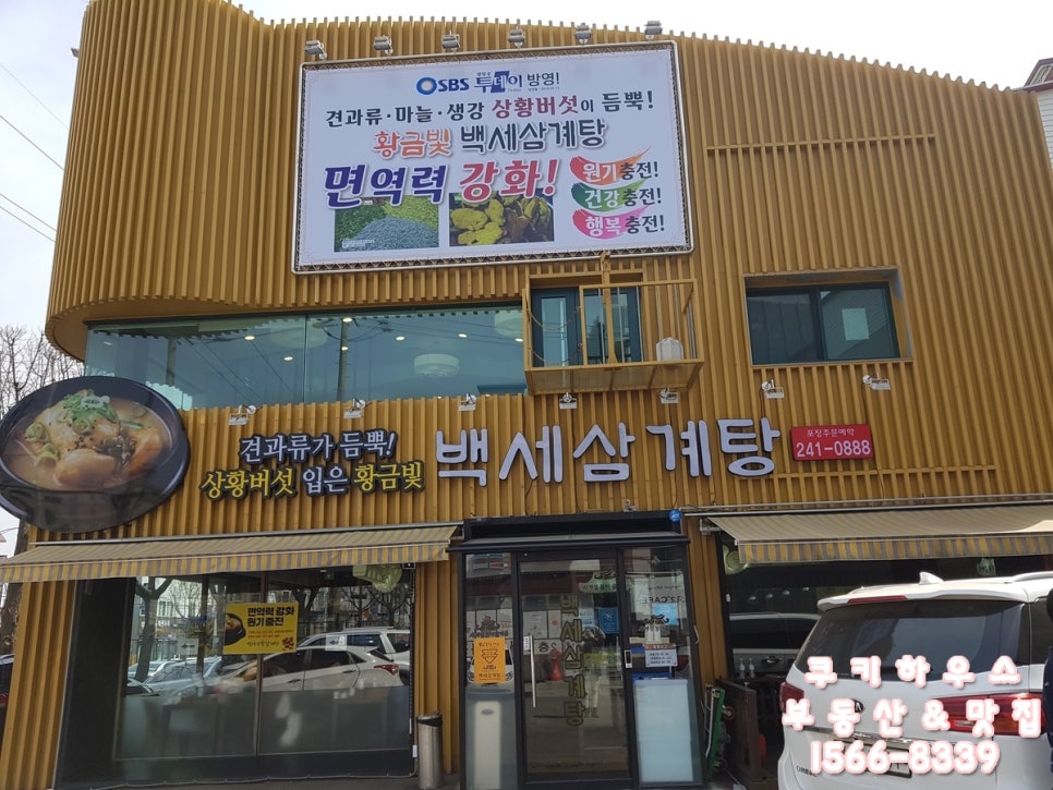 백세투어 이미지