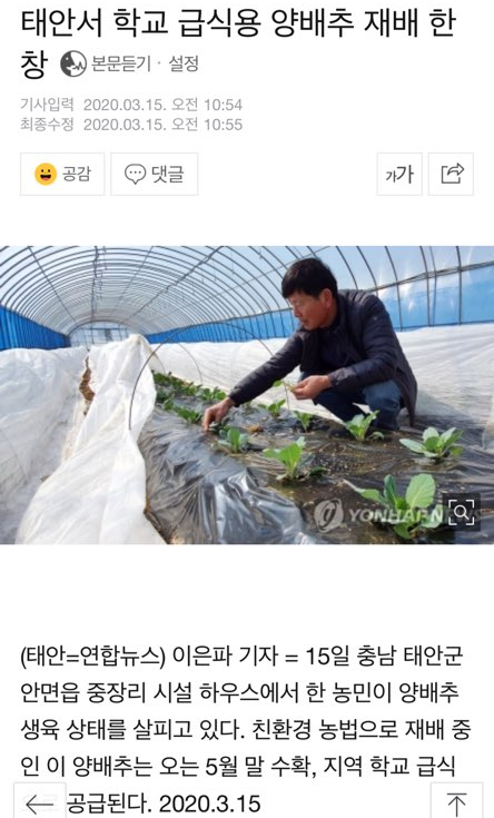 봄이왔나BOM 이미지