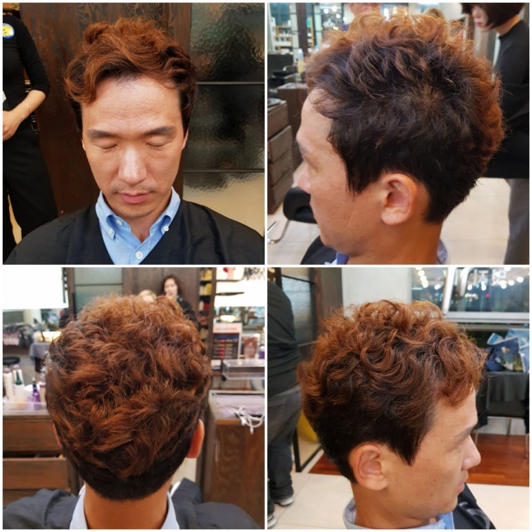 살롱드파인 이미지