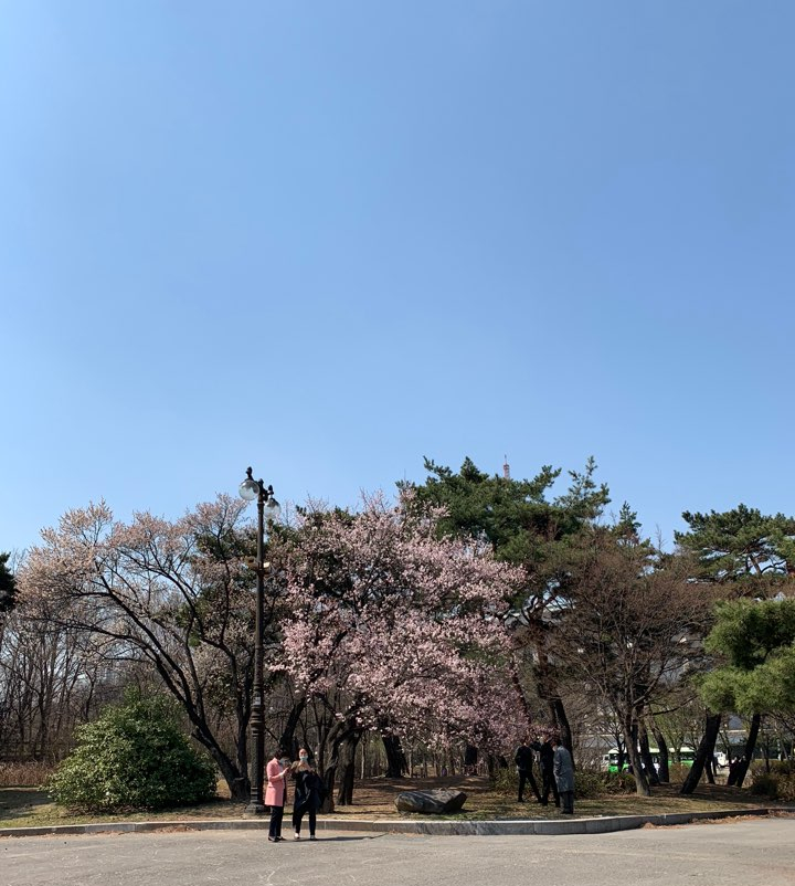 봄이왔나BOM 이미지