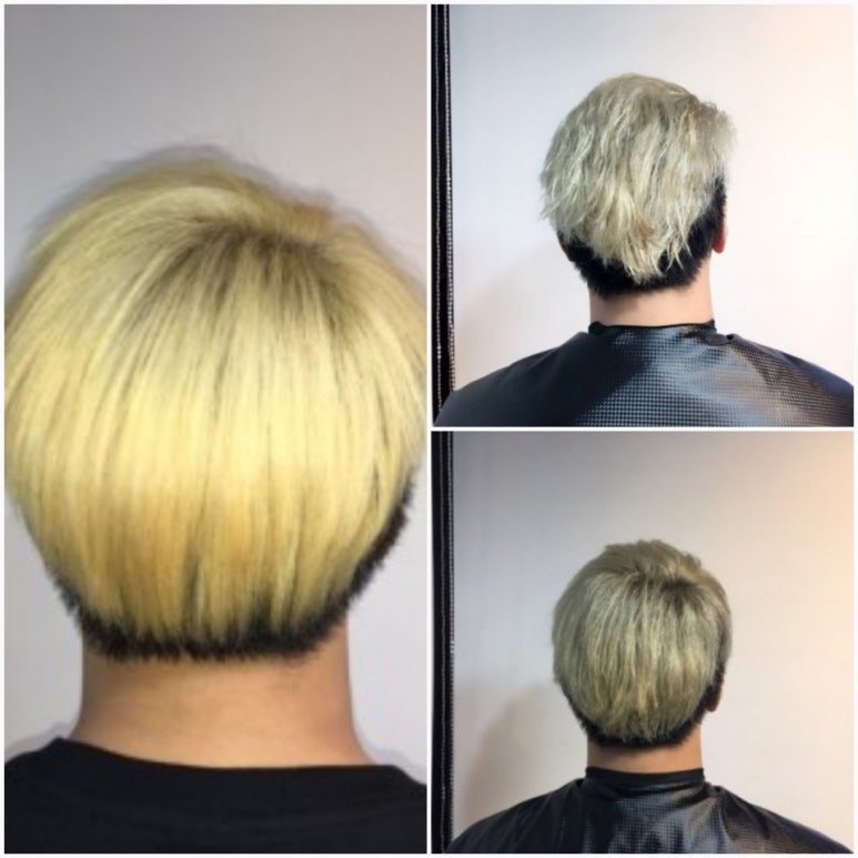 살롱드파인 이미지