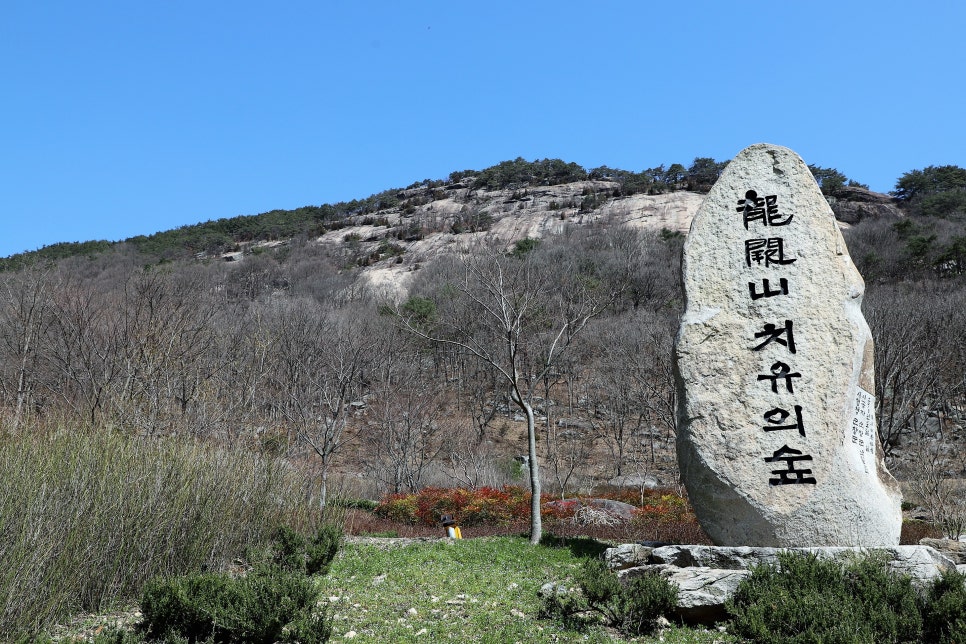 천리농원 이미지
