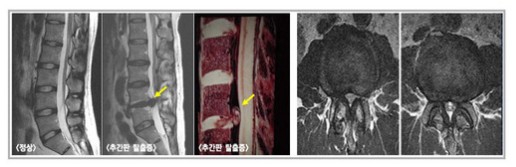 황교헌한의원 이미지