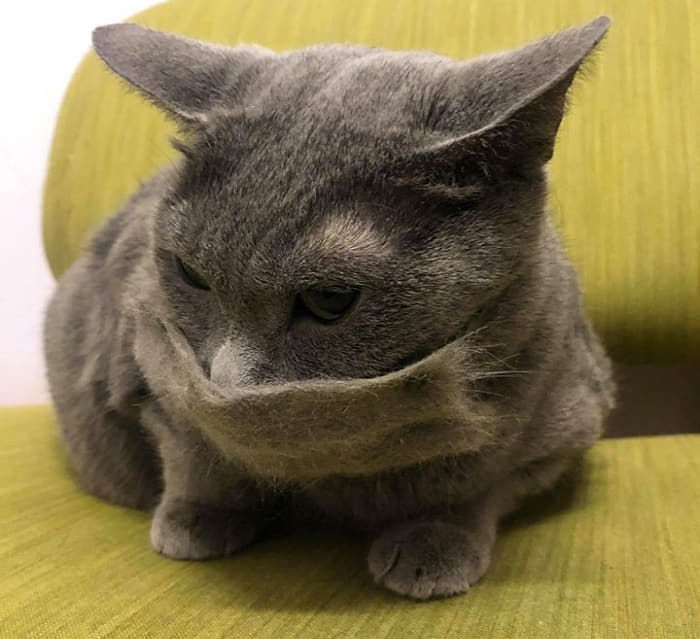 한올모아 이미지