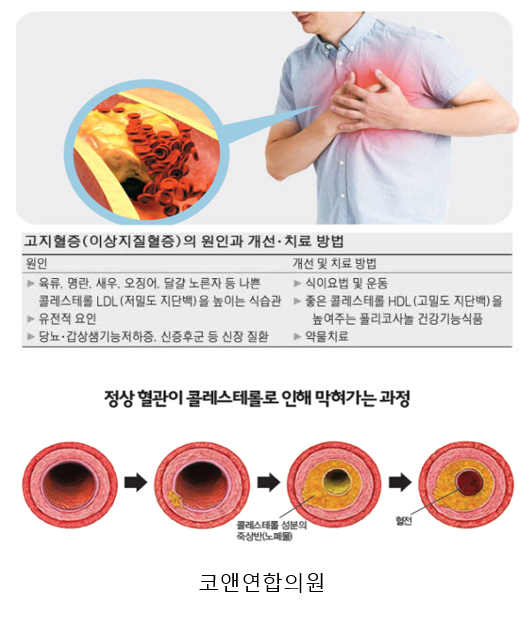 코앤연합의원 이미지