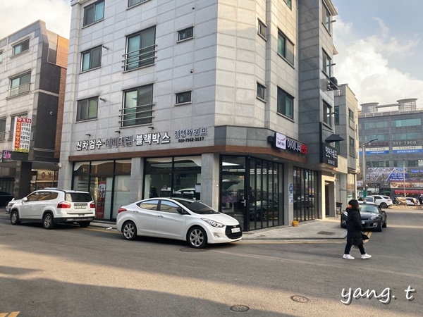 카쉐프 이미지