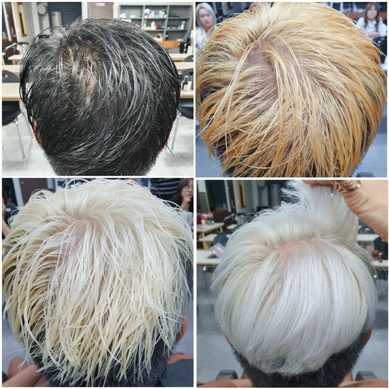 살롱드파인 이미지
