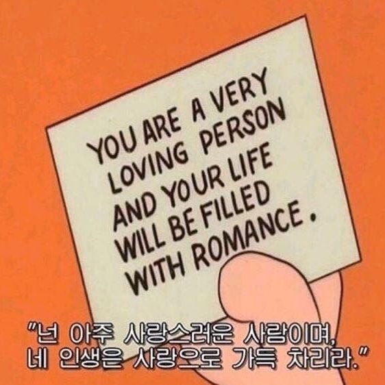 노비카캐시미어 이미지