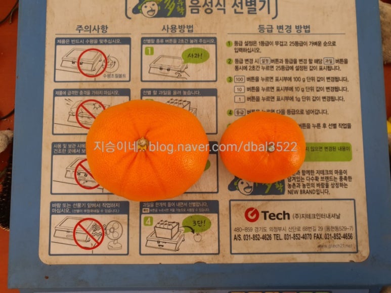 중향 이미지