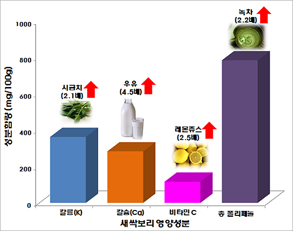 새싹녹즙 이미지