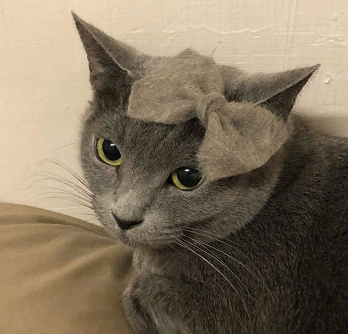 한올모아 이미지