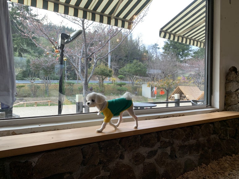 로앙 이미지
