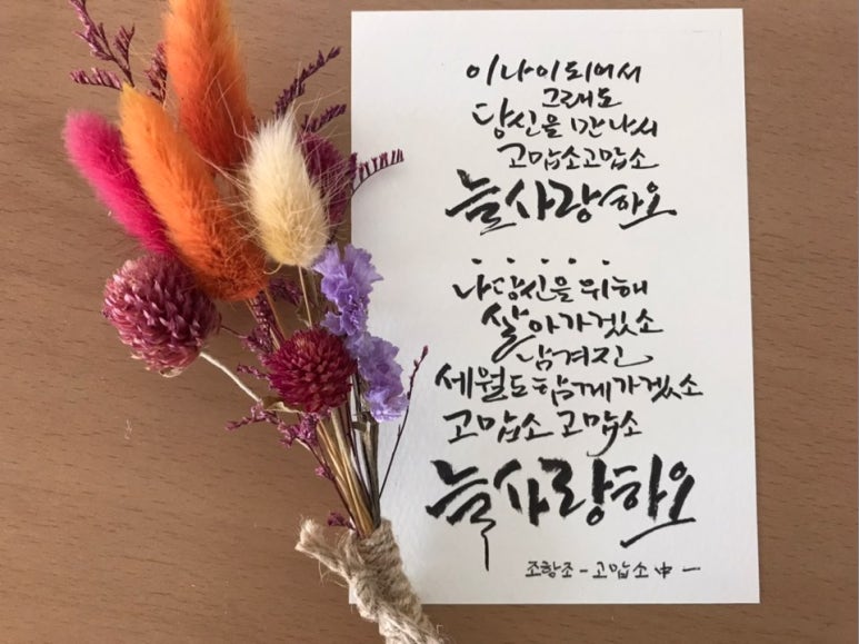 드라이세상 이미지