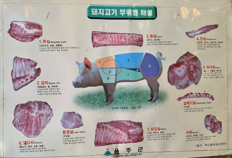 축산물도매유통센타 이미지
