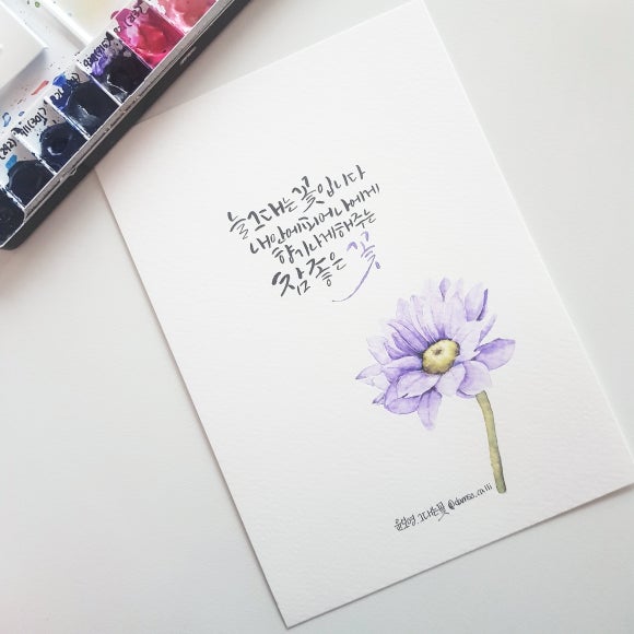 꽃담소 이미지