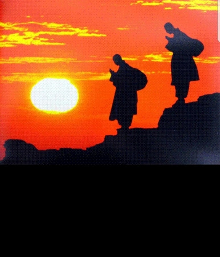 봄나래 이미지