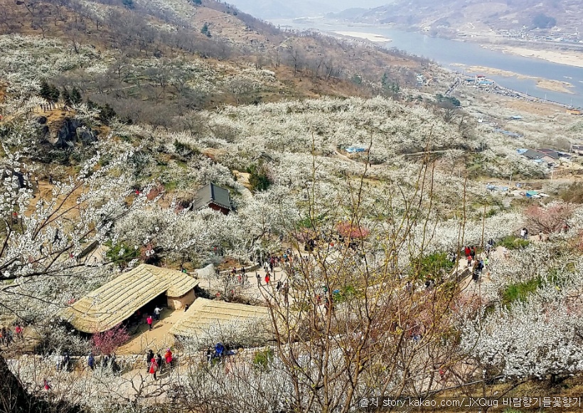더사랑의교회 이미지