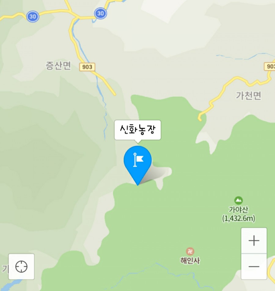개금약초 이미지