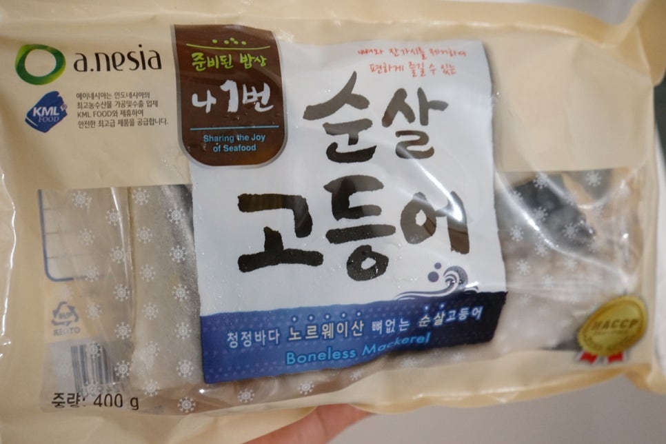 에이네시아 이미지