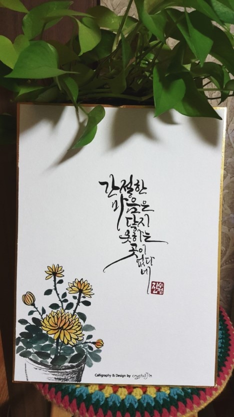 마래 이미지