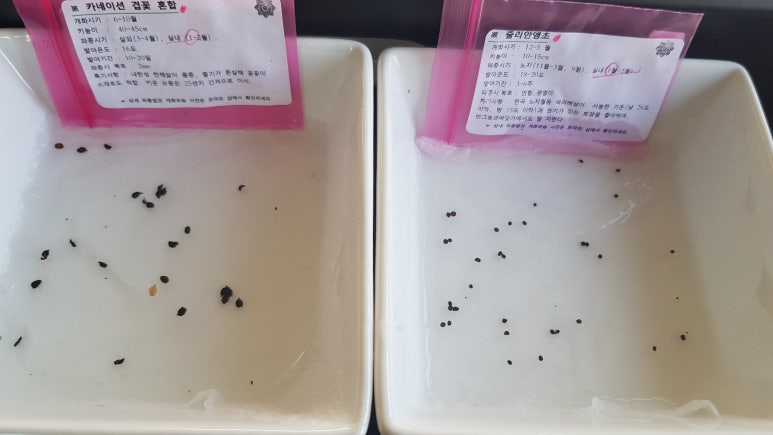 천년비색청자의품격 이미지