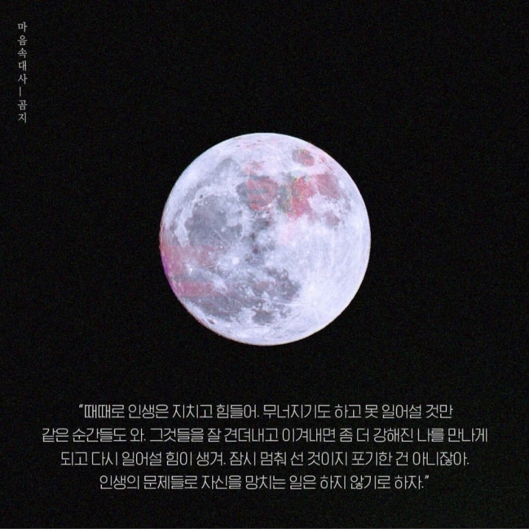 신유네회포장 이미지