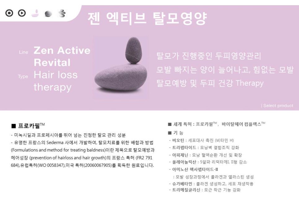 젠(Zen) 이미지