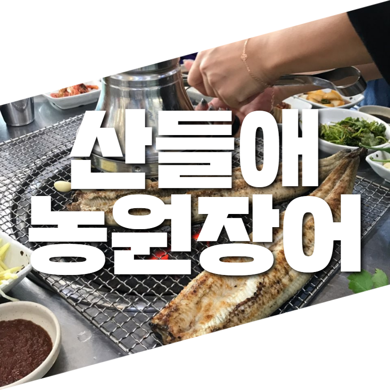 경희장어맛집 이미지