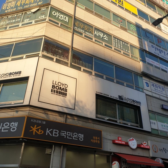 로이드밤 이미지