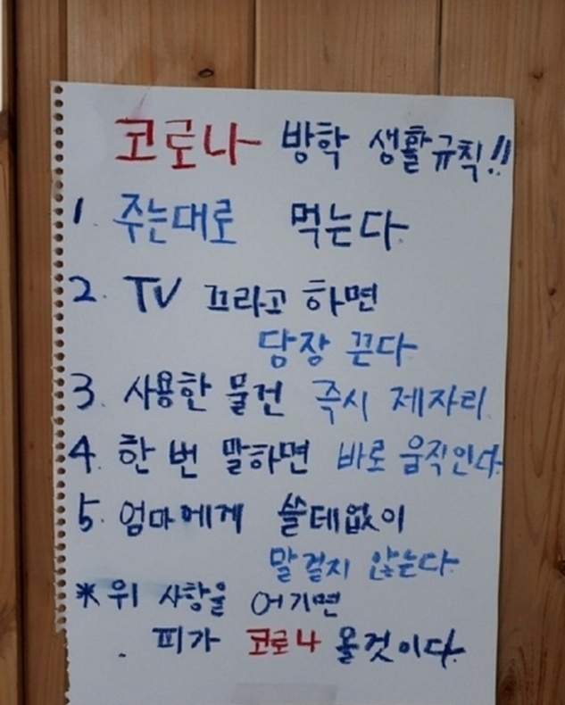 토마토연구소 이미지