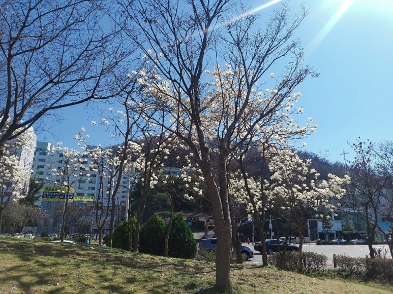 루즈앤모니끄 이미지