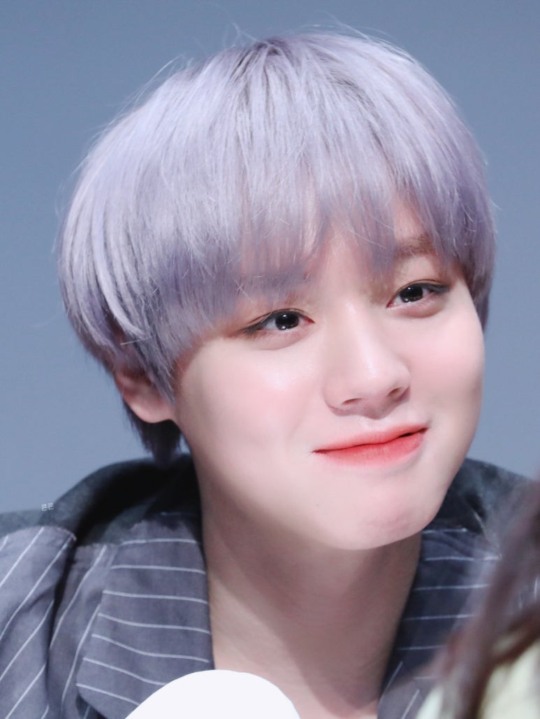 단델리온 이미지