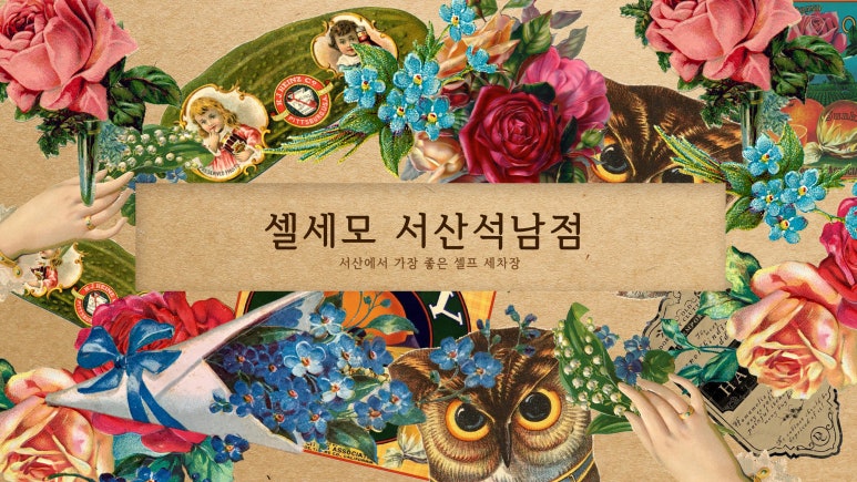 서산셀세모 이미지