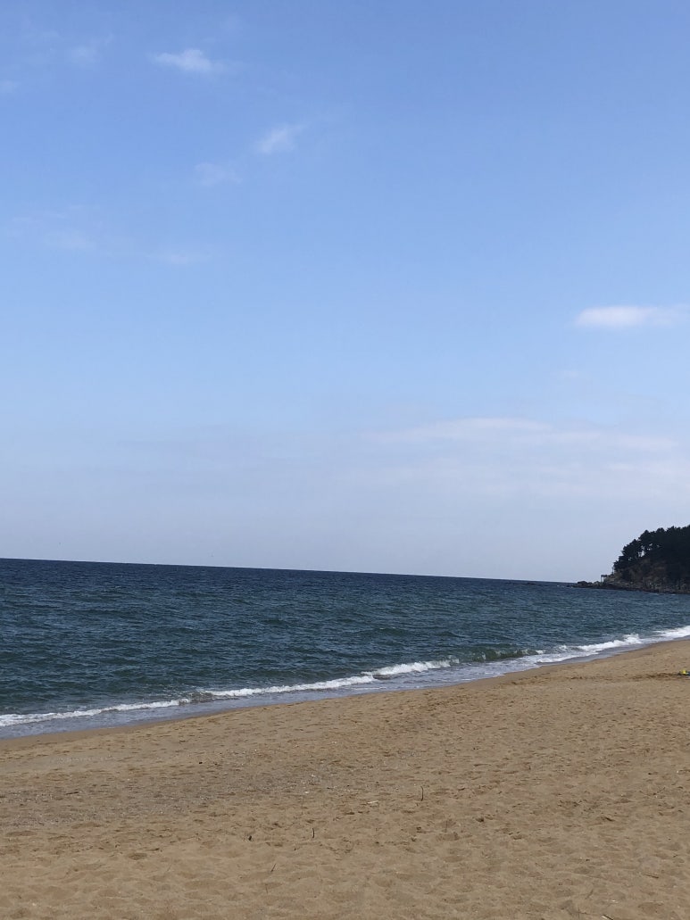 동아서림 이미지