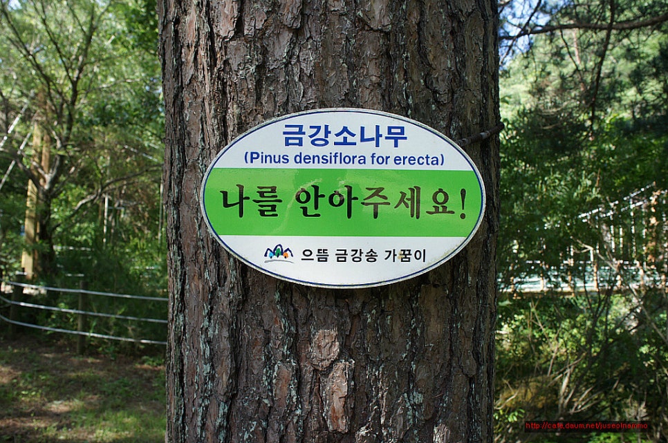 국립검마산자연휴양림 이미지