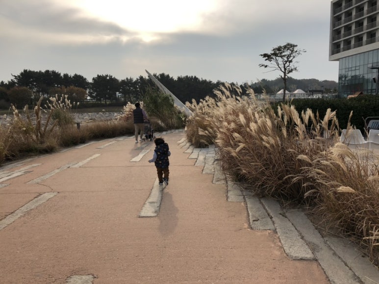 서해파트너스 이미지